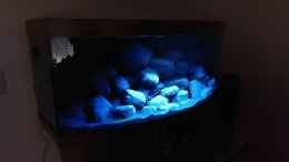 aquarium-von-marcel-r--malawi-vision-450-anfang_SunaEco 600 Reef White