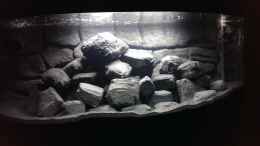 aquarium-von-marcel-r--malawi-vision-450-anfang_26.01.2014 alte Beleuchtung 