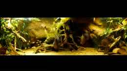 aquarium-von-marco-my-south-american-biotope_Gesamtansicht 16.04.14