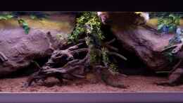 aquarium-von-marco-my-south-american-biotope_Mit Deko ohne Wasser 19.02.14