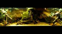 aquarium-von-marco-my-south-american-biotope_Gesamtansicht 08.04.14