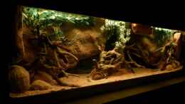 aquarium-von-marco-my-south-american-biotope_Stand 20.02.14 1.Tag mit Wasser ;-)
