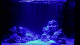 aquarium-von-die-perle----becken-29062_im Mondlicht