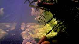 aquarium-von-snooze-over-the-rainbow--nur-noch-als-beispiel_Seitenansicht Stand 09.02.1014