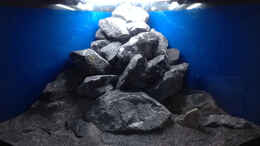 aquarium-von-bodenseechris-malawi-corner_kurz vor dem Befüllen am 31.01.2014
