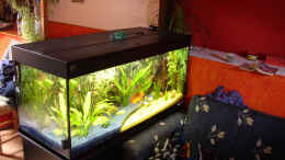 aquarium-von-stonedman-becken-2956_Becken komplett