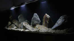 aquarium-von-ajakandi-darkstonembuna-2-0_..Eindruck aus der Einlaufzeit ..
