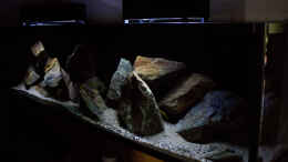 aquarium-von-ajakandi-darkstonembuna-2-0_Beckenaufnahme .. schräg von der Seite [wegen Platzmangel] 