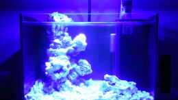 aquarium-von-jens-kaendler-neues-projekt---nano-reef_Nachtlicht