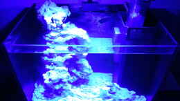 aquarium-von-jens-kaendler-neues-projekt---nano-reef_Nachtlicht