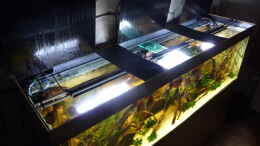 aquarium-von-carkl-lago-pampo-aufgeloest_LED-Beleuchtung