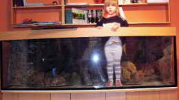 aquarium-von-h-t--suedamerika--existiert-nicht-mehr--beispiel_Aquarium nach Lieferung mit kleiner Meerjungfrau