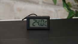 Foto mit Digital-Thermometer