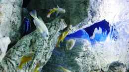 aquarium-von-petr-novak-unterwasser-hoehle_