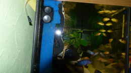 aquarium-von-malawi-freunde-becken-30372--wird-aufgeloest-_Filterschwamm mit Pumpe, hinter der Rückwand links
