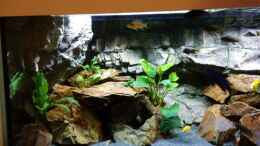 aquarium-von-funkytraut-malawi-sun-rise_linke Seite mit Rock Zolid Modul