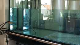 Aquarium einrichten mit Osmoseanlage läuft