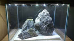 aquarium-von-julian-h--iwagumipfuetze_Trockenversuch mit den Steinen...
