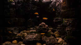 aquarium-von-pa-trick-rocky-cliffs_Abendrot
