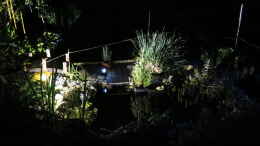 aquarium-von-thomas-limberg-gartenteich-al-ko-t-600_Teich mit Beleuchtung in der Nacht