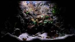 aquarium-von-harald-goetz-blue-neon--multi-amp--co--2021-aufgeloest_Sonnenauf-/untergang - Jan 2015