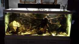 aquarium-von-markaroni-450-l-wurzelbiotop_LED-Beleuchtung