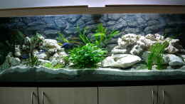 aquarium-von-stefan-grabher-becken-3076_Becken von vorne
