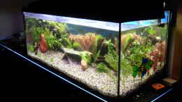 aquarium-von-stefano83-suedostasien-nur-noch-als-beispiel_Becken von rechts