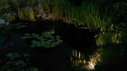 aquarium-von-sambia-neulich-im-ruhrpott----_Licht aus - Spot an!