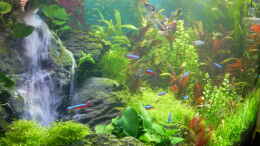 aquarium-von-stefan-nibel-becken-30905_120 L Becken mit Sandwasserfall 