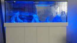 aquarium-von-eisbrecher-becken-30929_ohne wasser mit led light blue