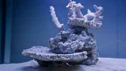 aquarium-von-mh-becken-30932_Säule aus totem Riffgestein