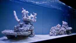 aquarium-von-mh-becken-30932_Meerwasseraquarium mit 35 kg totem Gestein