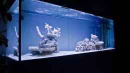 Aquarium einrichten mit Meerwasseraquarium 200 x 70 x 70
