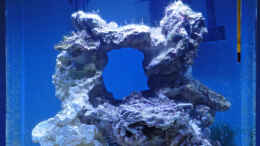 aquarium-von-summse-nano-riff_nach 3 Wochen...