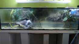aquarium-von-marco-my-1000l-tank_Tag der Inbetriebnahme 07.01.15
