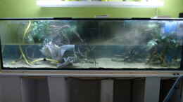 aquarium-von-marco-my-1000l-tank_Tag der Inbetriebnahme 07.01.15