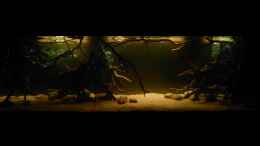 aquarium-von-marco-my-1000l-tank_Gesamtansicht nur mit 2m LED-Lichtleiste 09.01.15