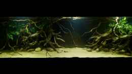 aquarium-von-marco-my-1000l-tank_Gesamtansicht 11.01.15