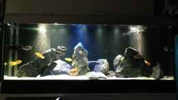 aquarium-von-lynex-malawispeluncam_Gesamtansicht mit allen Led`s