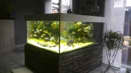 aquarium-von-frank-lefers-becken-31073_becken größe 120x140x60 cm