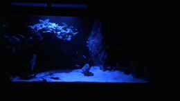 aquarium-von-sale87-berg-und-tal-landschaft_Nachtlicht