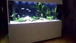 aquarium-von-markus-fressner-fisch-tv-fuer-meiner-tochter_Aquarium Hauptansicht von Fisch-TV für meiner Tochter