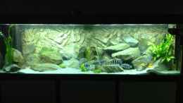 aquarium-von-dirk-brunnenkamp-tanganjika-tuempel-in-nrw_