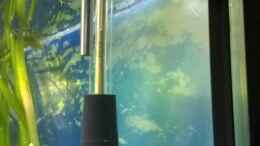 aquarium-von-schuemic-rio400-sl-scapinglight_Selbstgebaute Haltekonsole für Temperaturfühler und pH-Ele