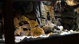 aquarium-von-ajakandi-sandstorm---tanga-cave_Projekt SandStorm - Ranga Cave