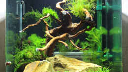 aquarium-von-southamerica-my-first-little-nano-nur-noch-als-beispiel_12.02.20015