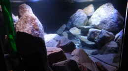 aquarium-von-malawi-einsteiger-mbuna-hardscape_hinten - Spiegelbild