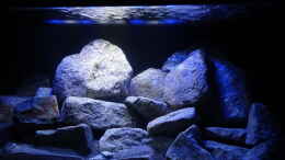 aquarium-von-malawi-einsteiger-mbuna-hardscape_vorne rechts, LED