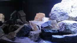 aquarium-von-malawi-einsteiger-mbuna-hardscape_links LED + T8